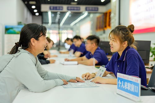 唐山零工市場 激活靈活就業(yè)新引擎，職業(yè)中介服務(wù)賦能勞動力市場