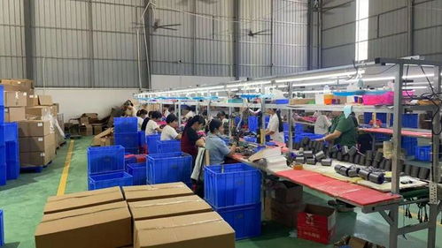 點(diǎn)贊！化州這個(gè)鎮(zhèn)“微工廠”遍地開花，留守婦女掙錢顧家兩不誤