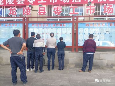龍陵 多維度促進就業(yè)創(chuàng)業(yè)，高質(zhì)量托穩(wěn)民生幸福——職業(yè)中介服務(wù)的核心角色與創(chuàng)新實踐