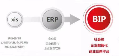 未及十年，云ERP已過(guò)時(shí) 信息服務(wù)引領(lǐng)企業(yè)數(shù)字化新浪潮